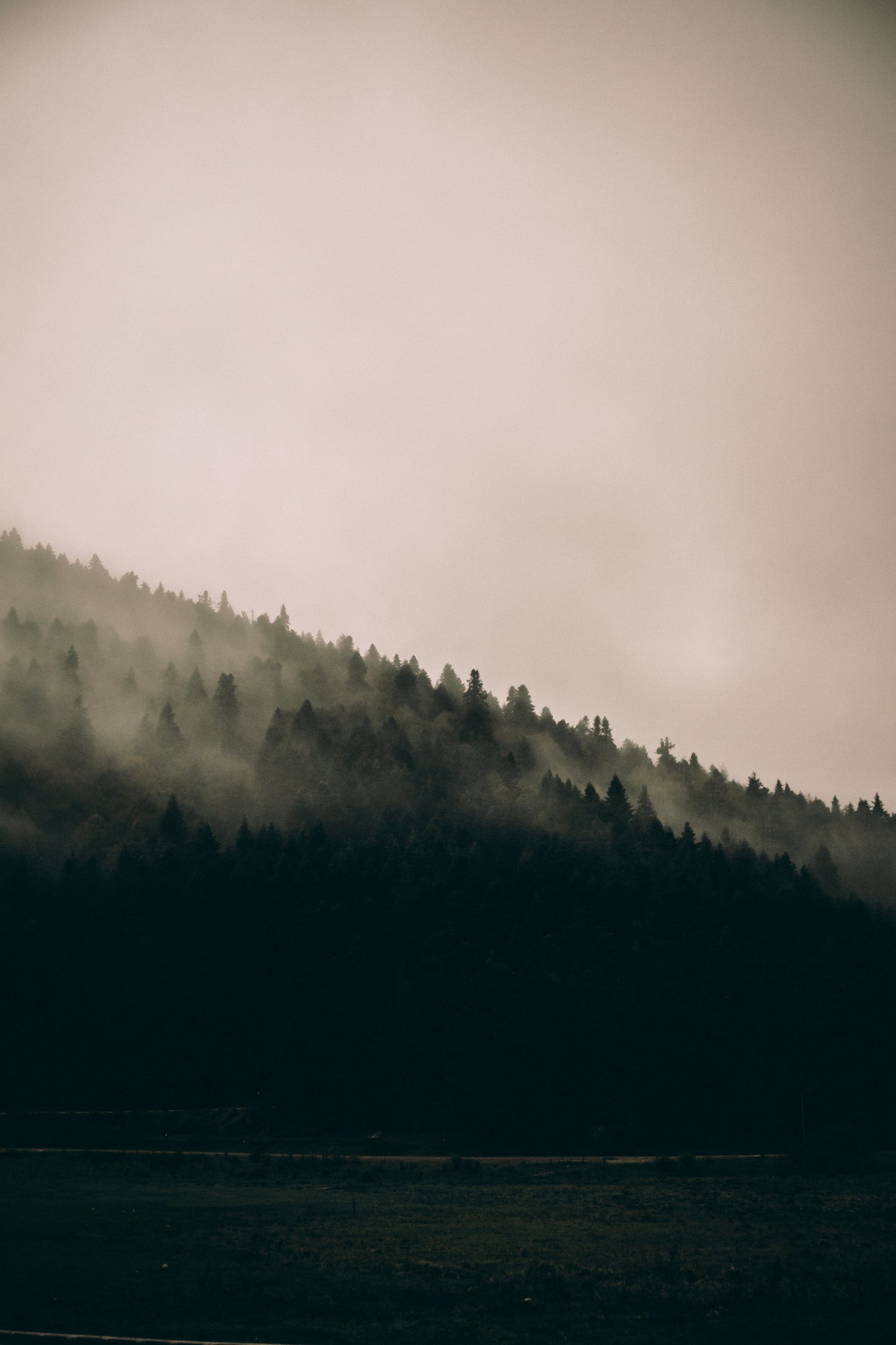 Abant in a Mist