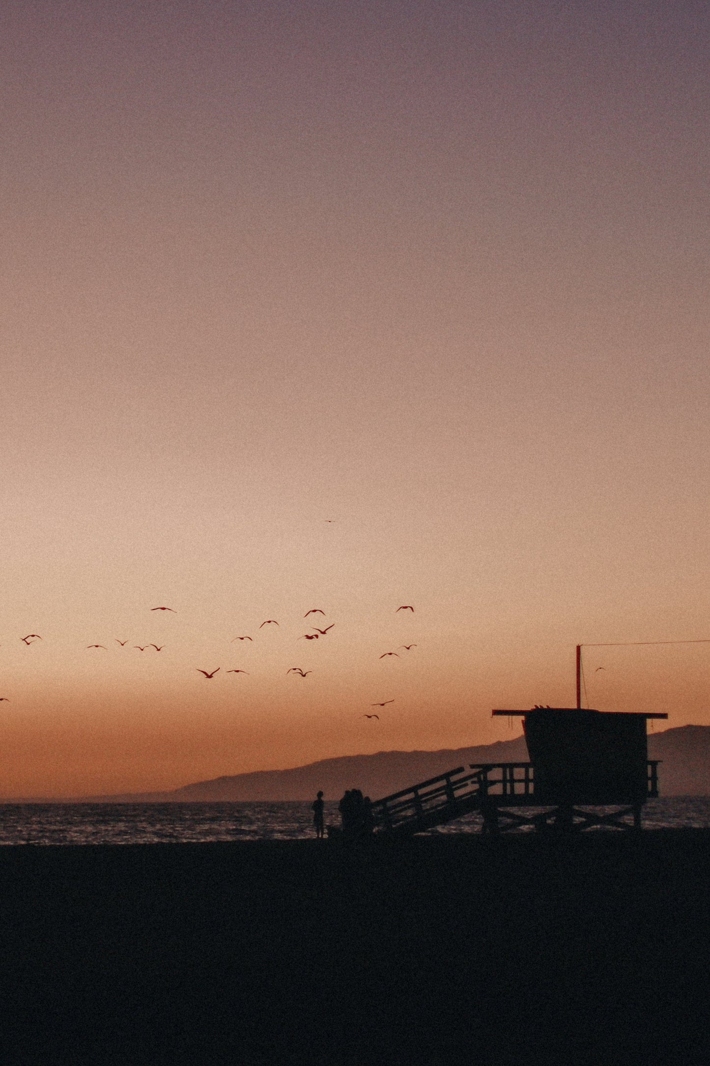 California Dreaming