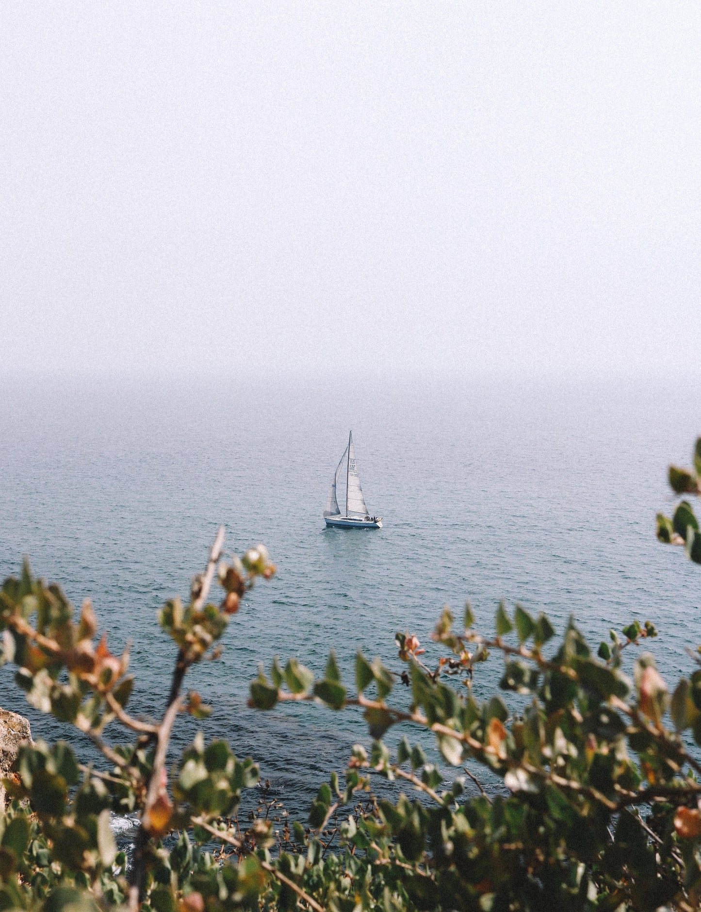 Lonely Waters