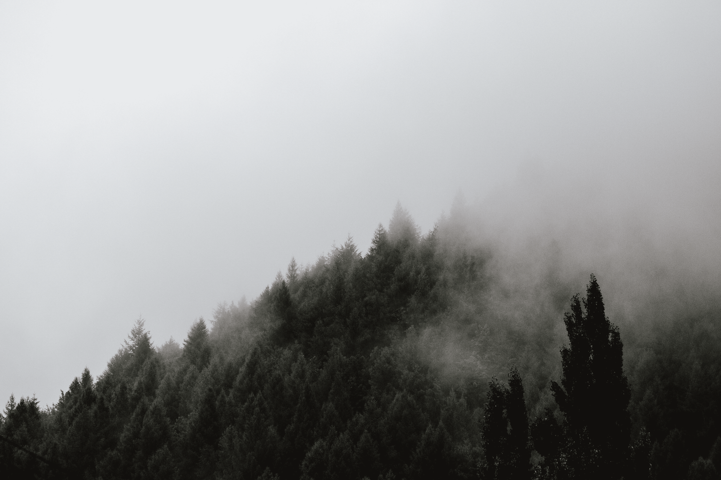 Arrowtown Hills
