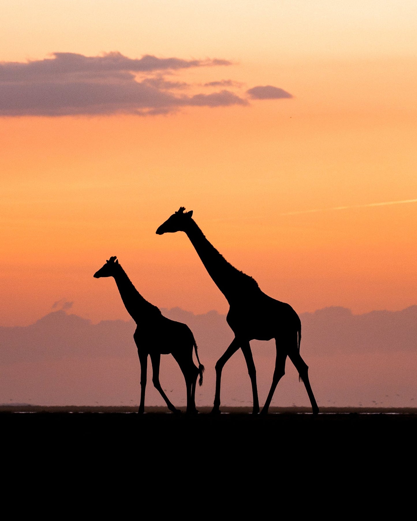 Sundown in Africa