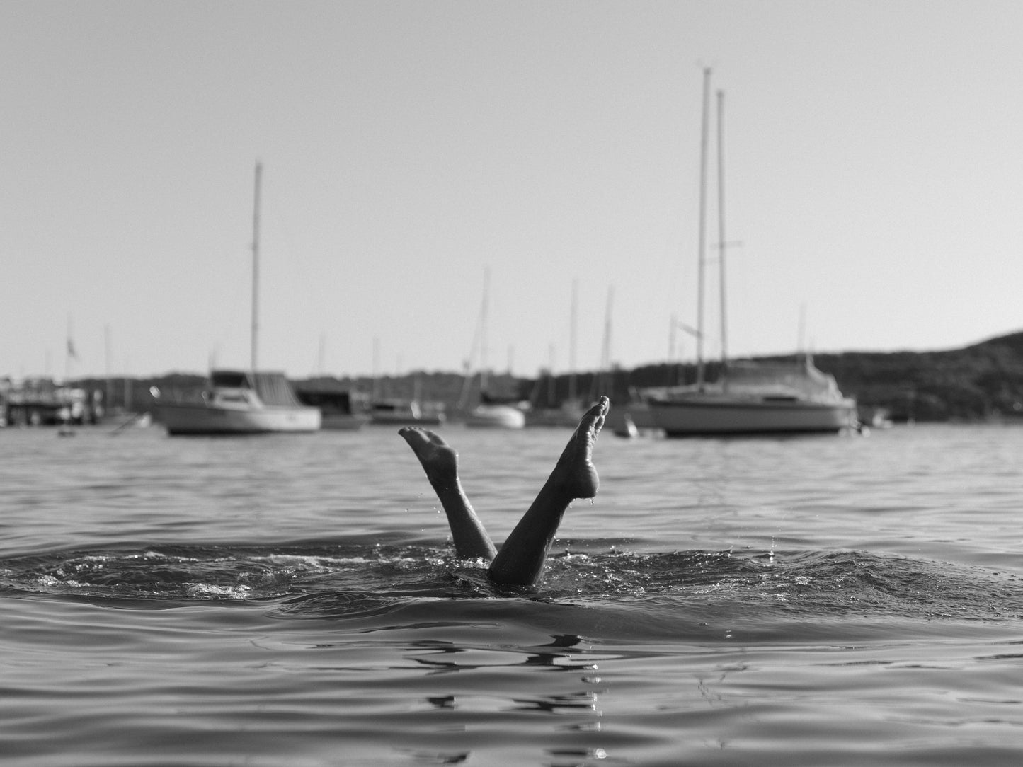 Diving into the Drink