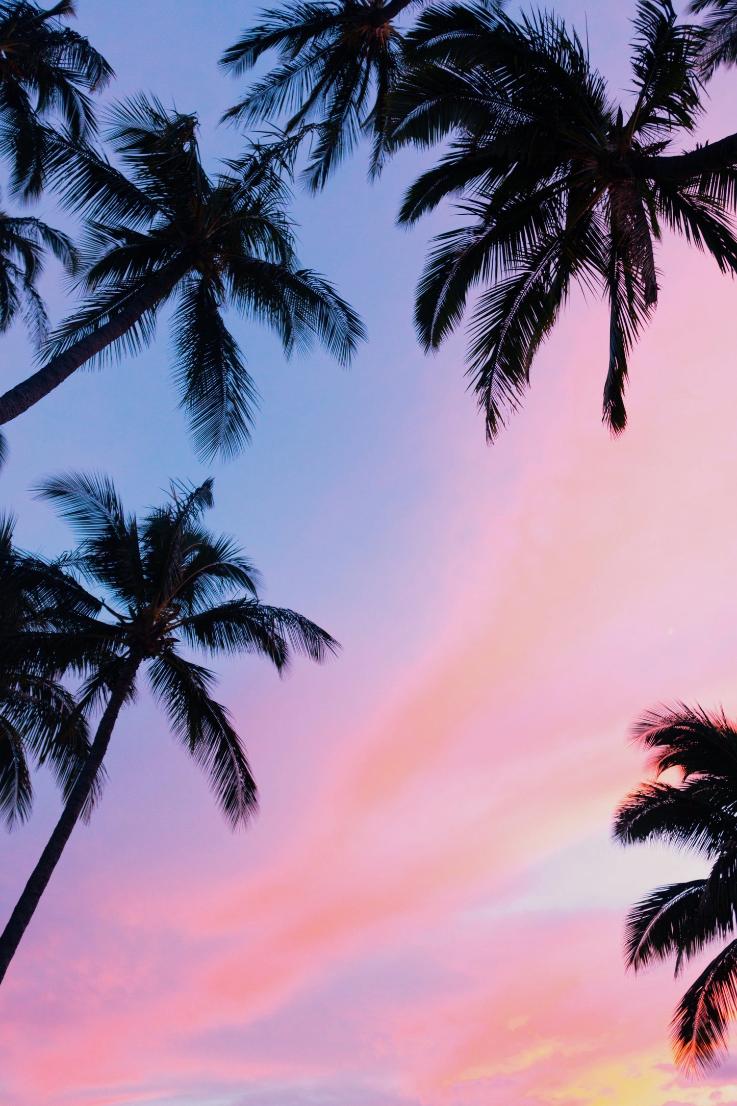 Maui Sunset