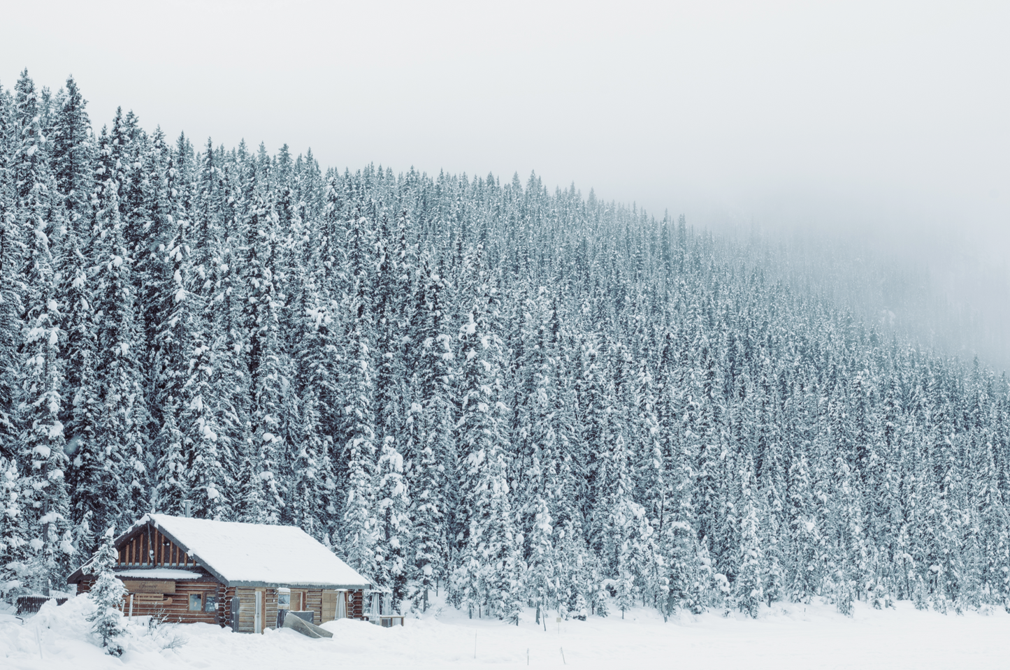 Snow Cover