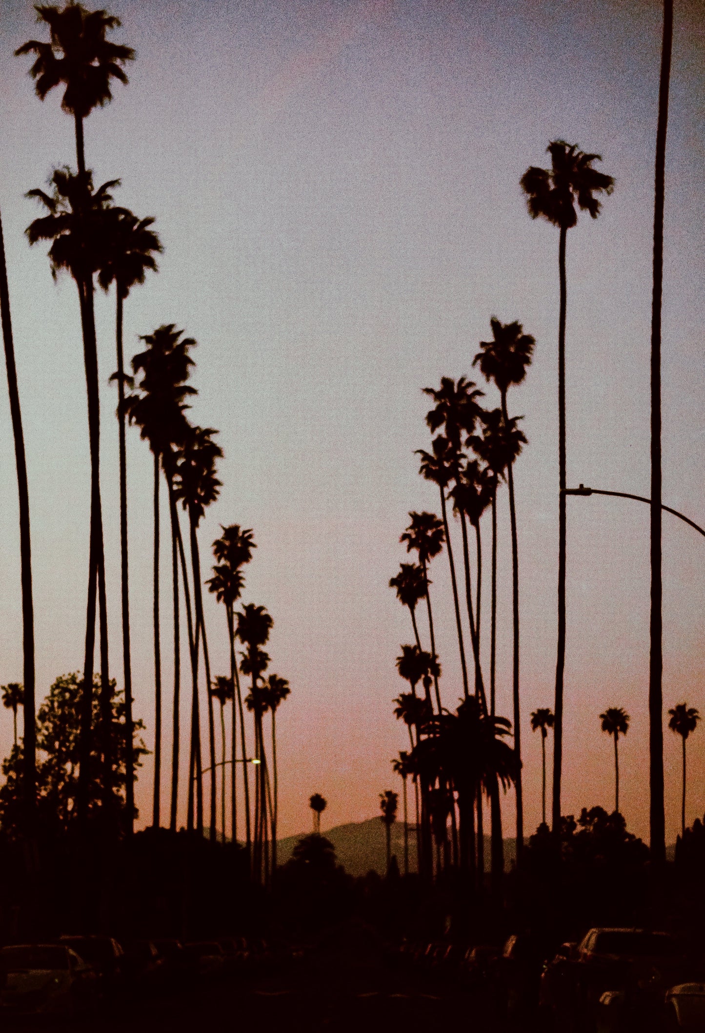 Koreatown Sunset