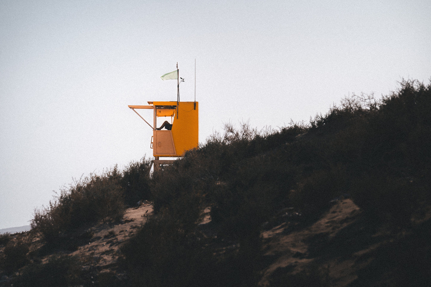 Guardian of the Shores
