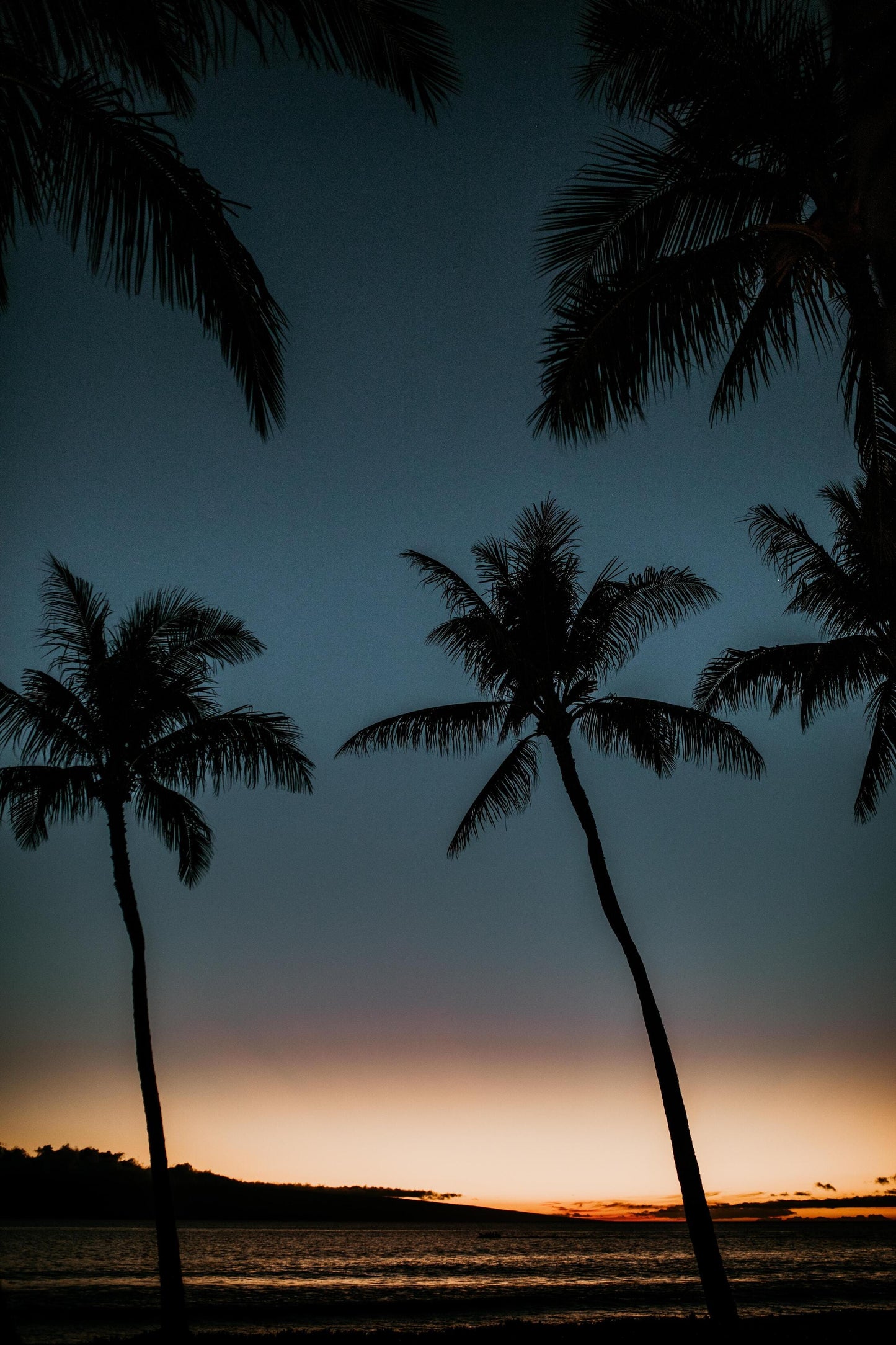 Mahalo Sunset