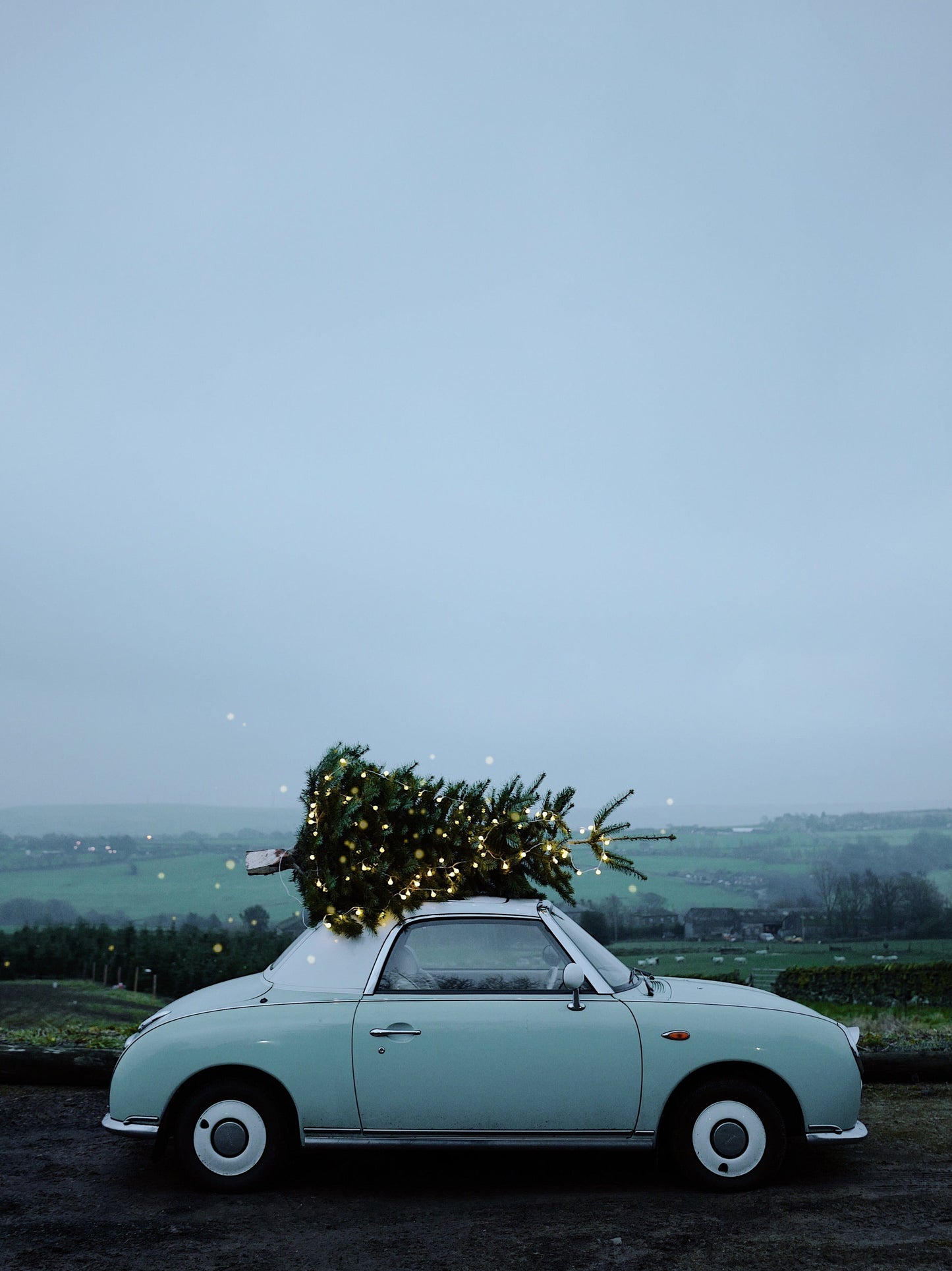 Twinkling Tour