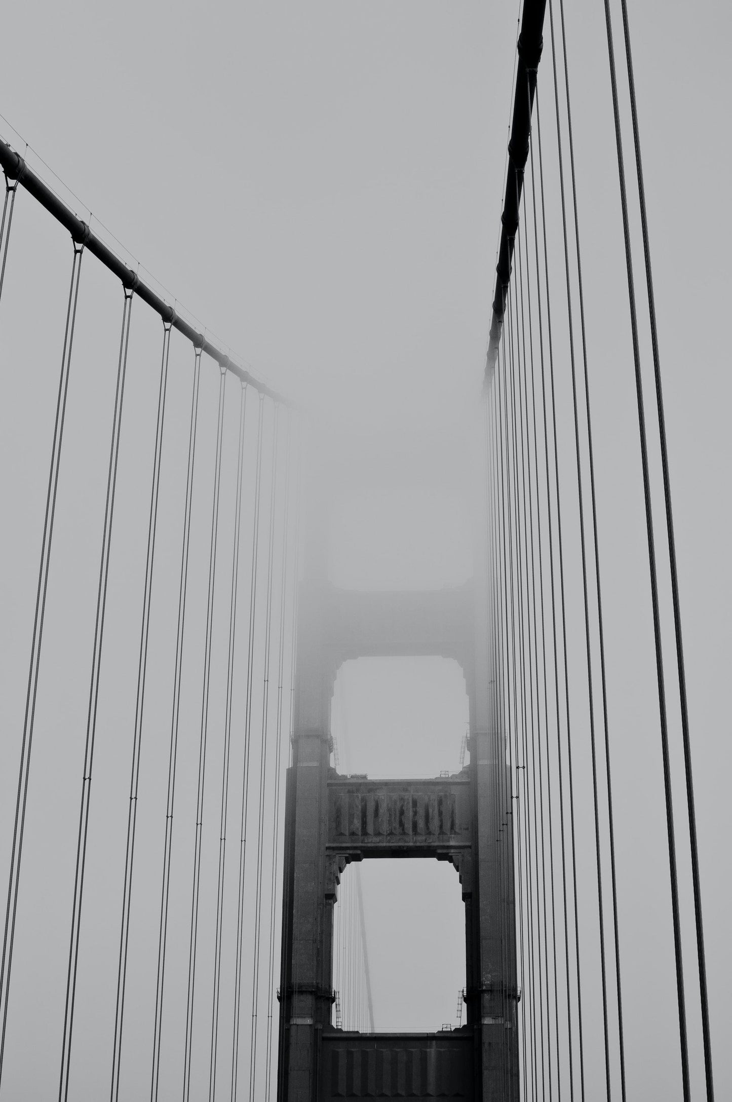 Golden Fog