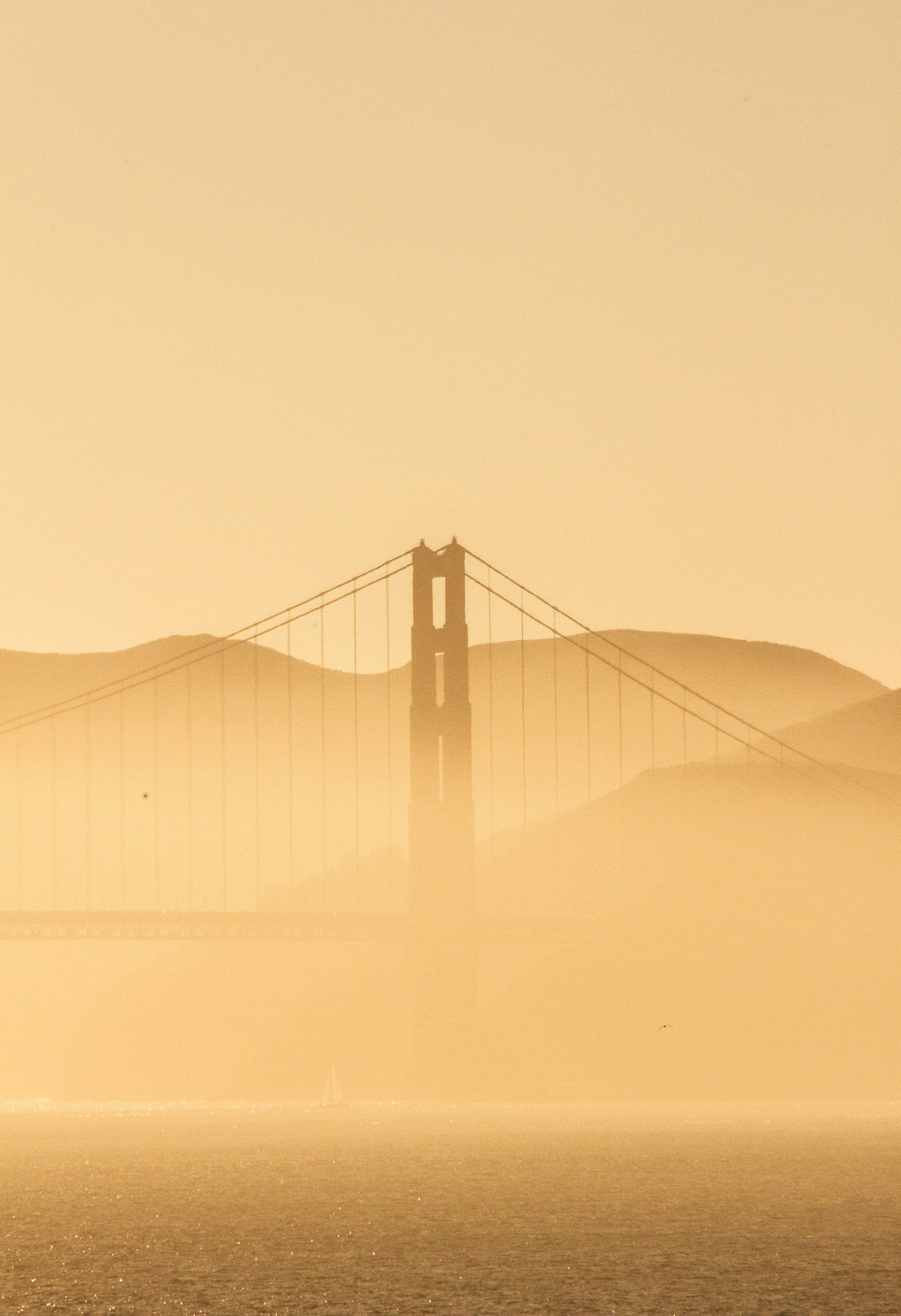 Golden Haze