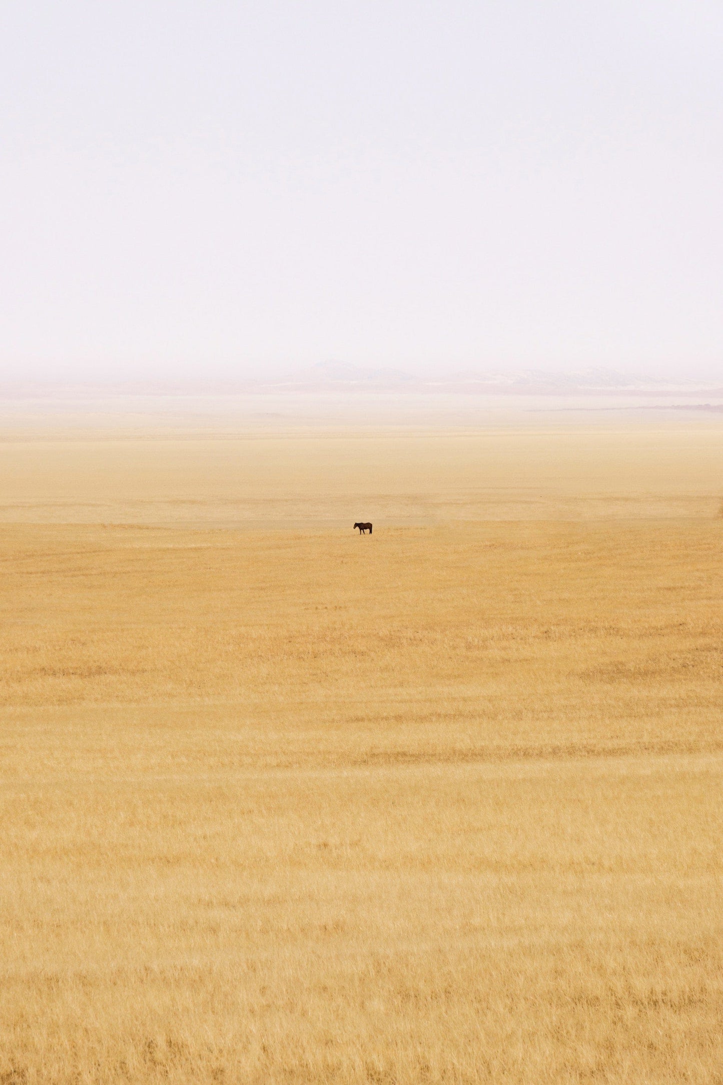 Vastness