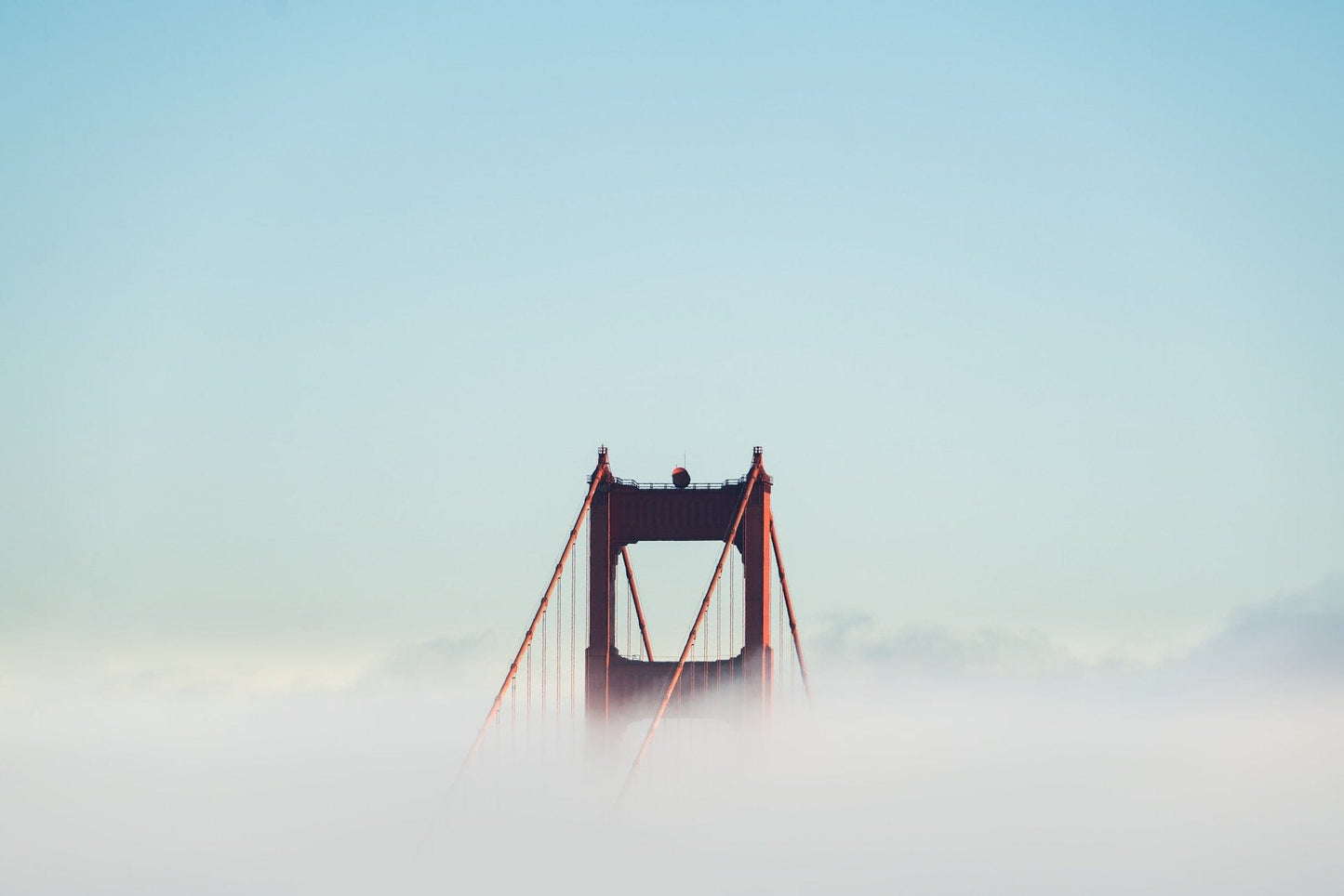 Rise Above
