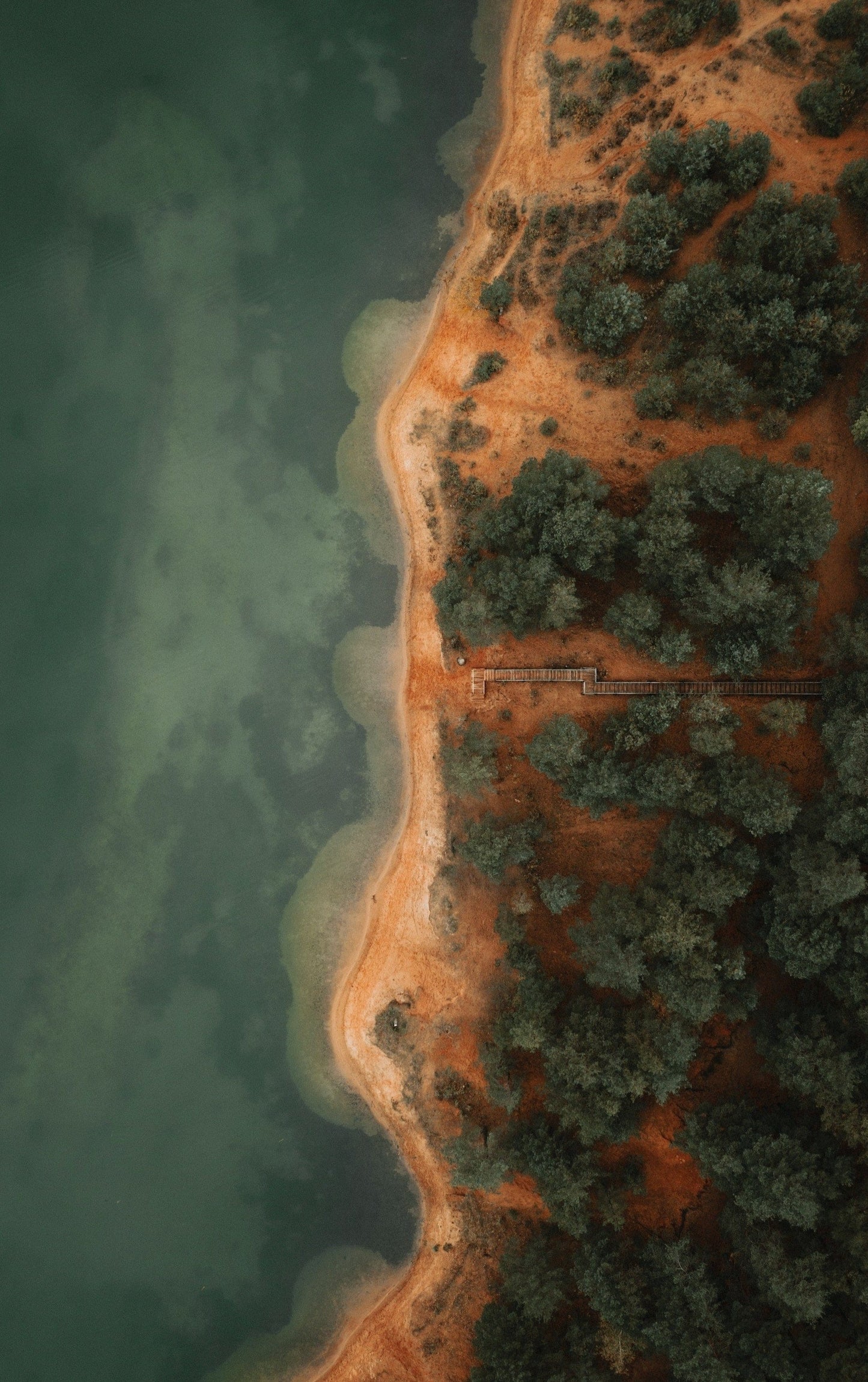 Autumn's Aerial Embrace