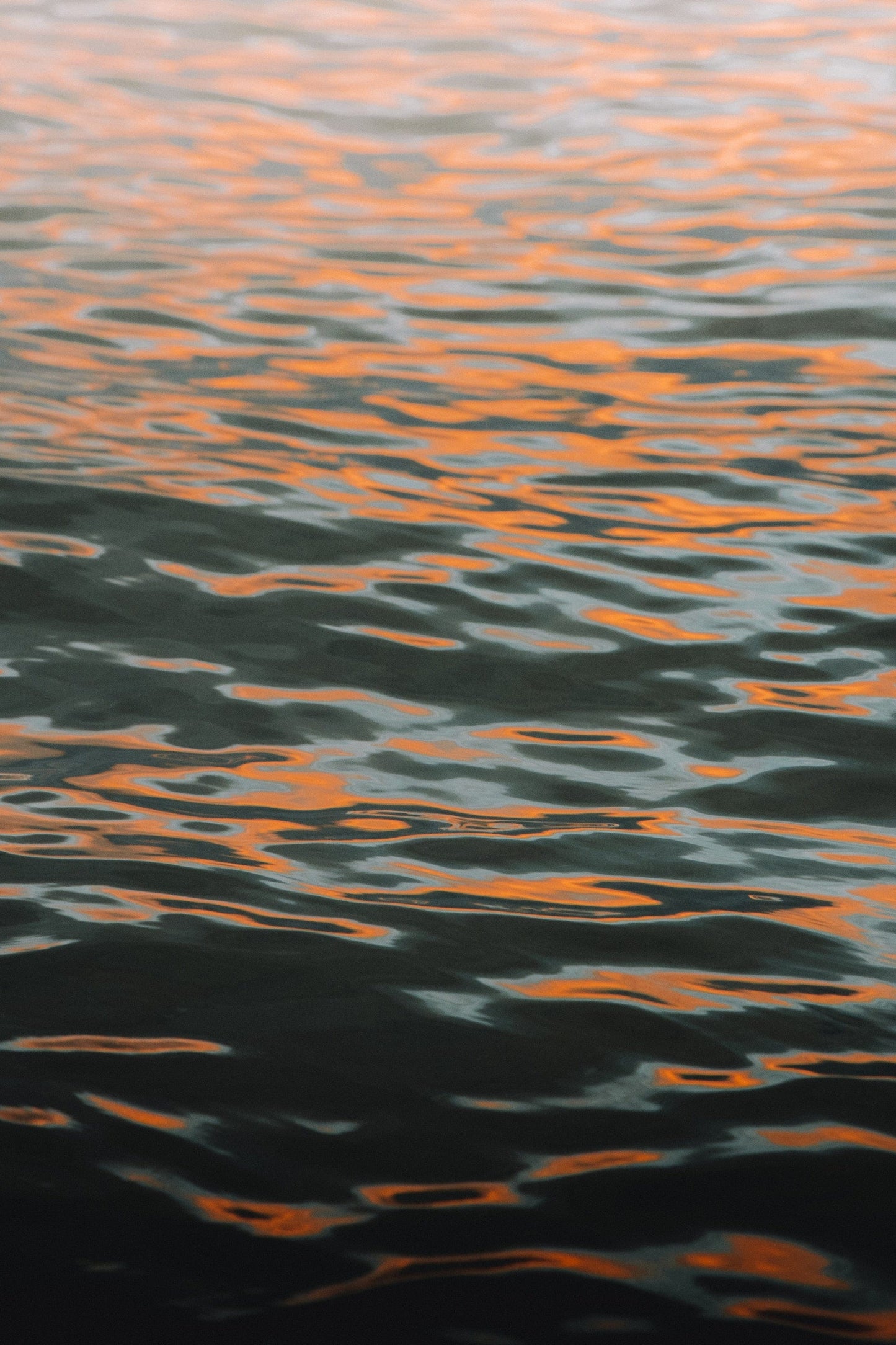 Shimmer