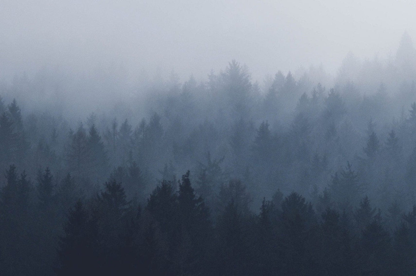 Silhouettes