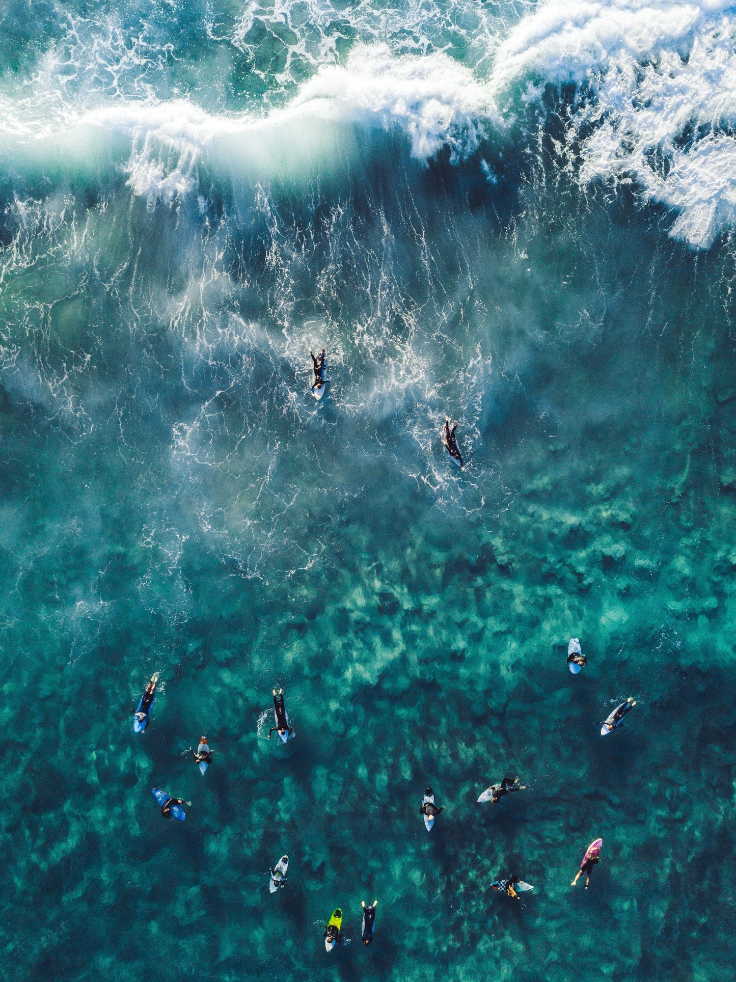 Ready to Surf
