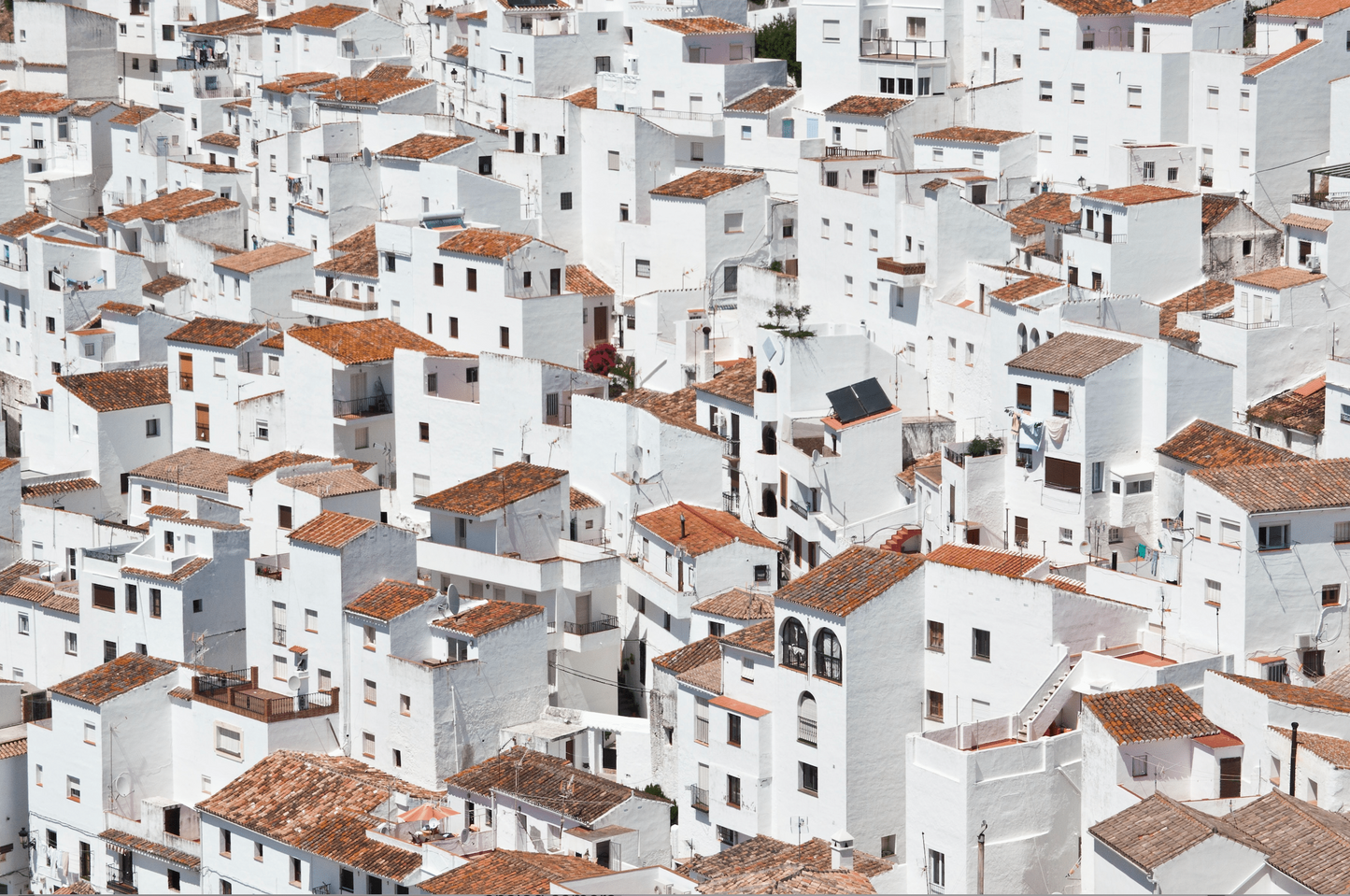 white houses