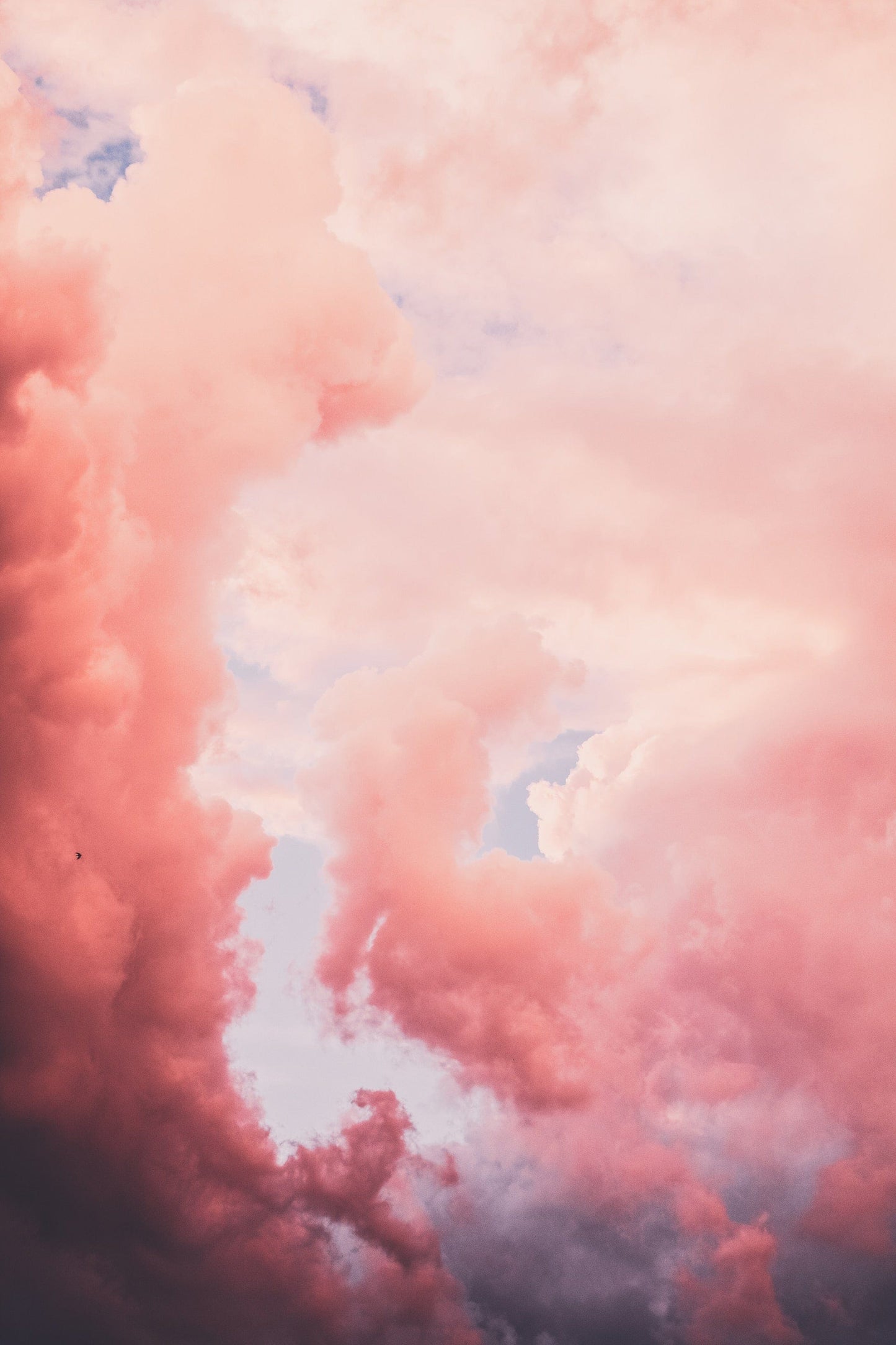 Pink Storm