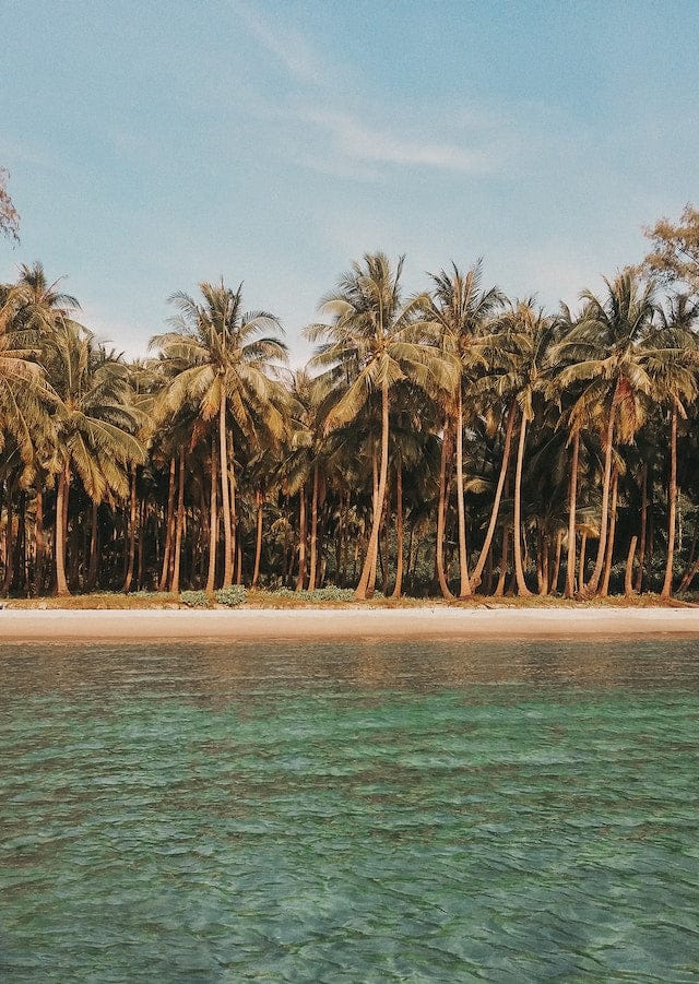 The Beach