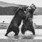 Dancing Bears