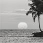 Coral Coast