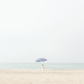 Umbrella Fog
