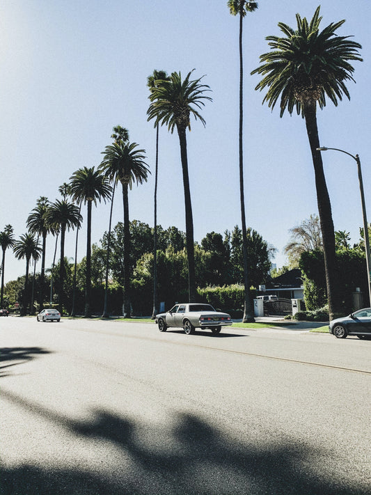 Beverly Hills Car