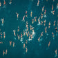 Human Tide