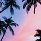 Maui Sunset
