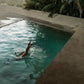 Dive In