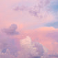 Pink Dusk