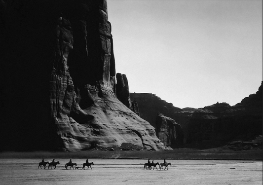 The Trek