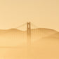 Golden Haze