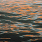 Shimmer
