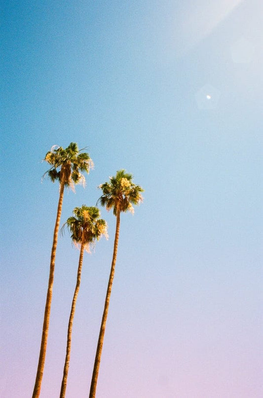 Palm Springs