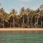 The Beach